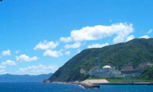 Monju plant